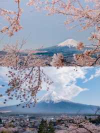 In April, I'm going to Nara Yoshino Mountain to experience the cherry blossoms of spring. Here's a nanny-level guide.