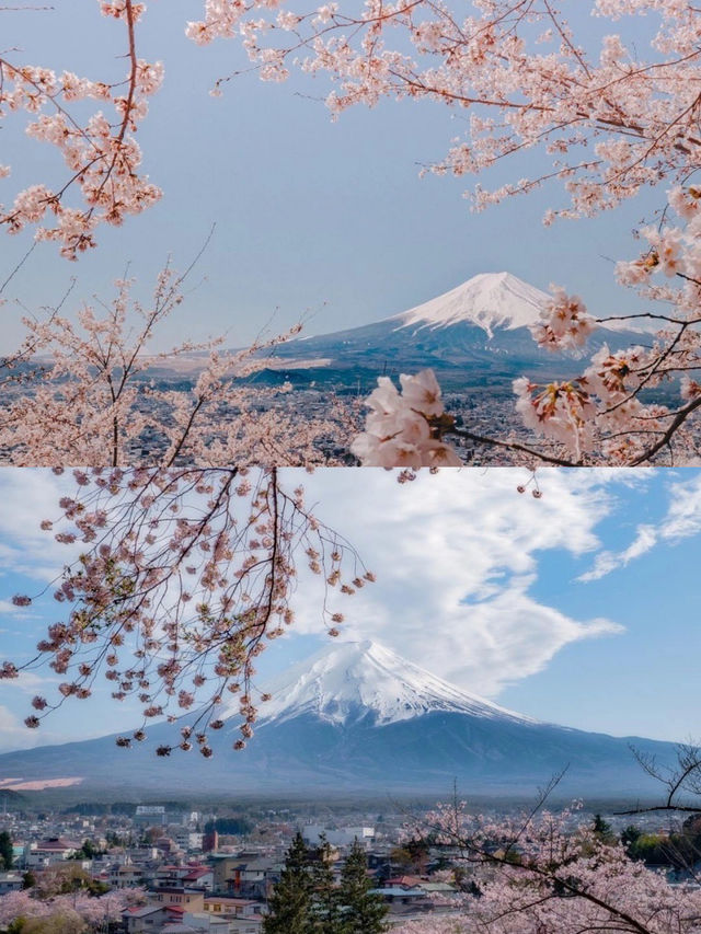 In April, I'm going to Nara Yoshino Mountain to experience the cherry blossoms of spring. Here's a nanny-level guide.