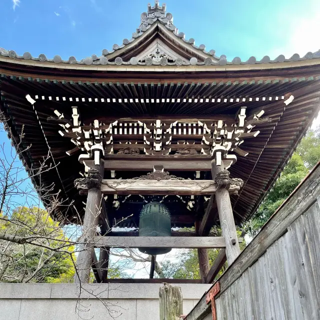 「泉岳寺」の赤穂義士にまつわる梅