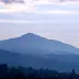 sarapluto