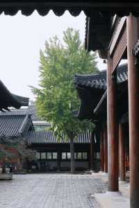 江南熱門古鎮遊玩丨錦溪古鎮