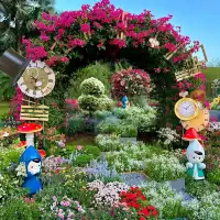 ✨深圳~蓮花山公園🌺✨