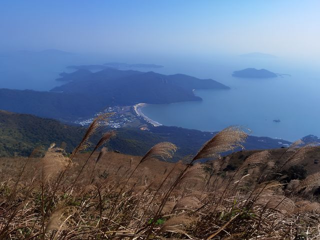 香港行山第十四站—鳳凰徑一段二段