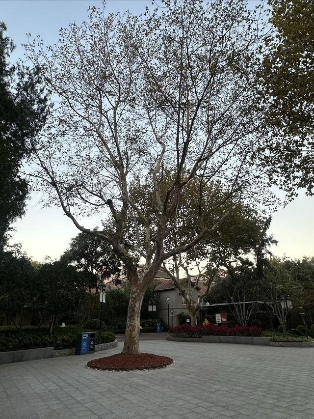 霍山公園