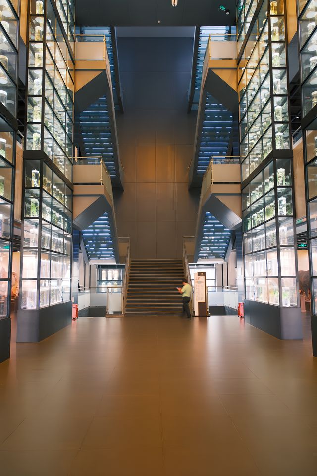 廣州｜廣東中醫藥博物館