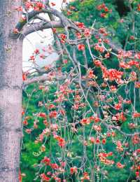 佛山遛娃好去處——免費寶藏公園中山公園！