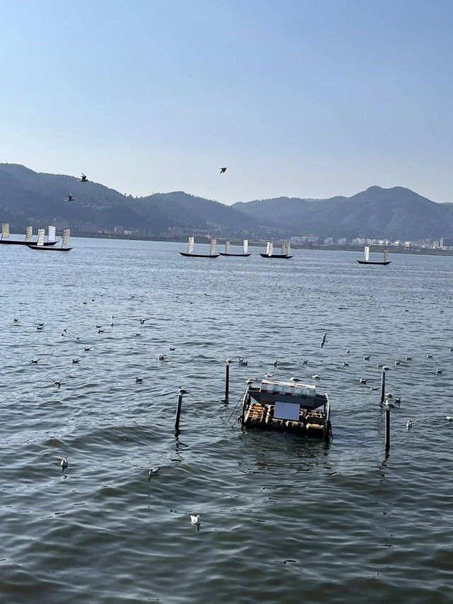 昆明必去九大景點，你去過幾個