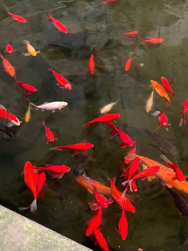 長嶼天|吸氧小去處