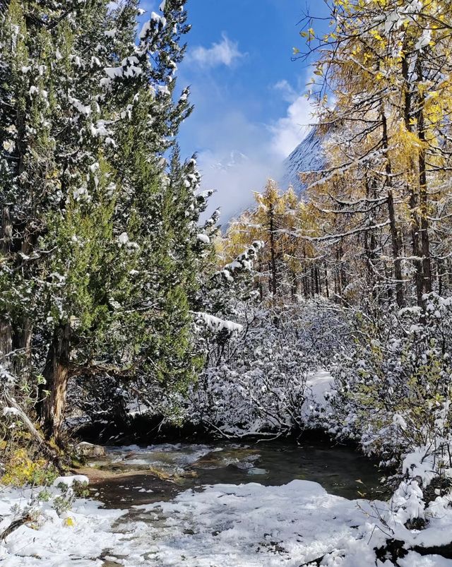 川西畢棚溝攻略｜雪景也是非常不錯