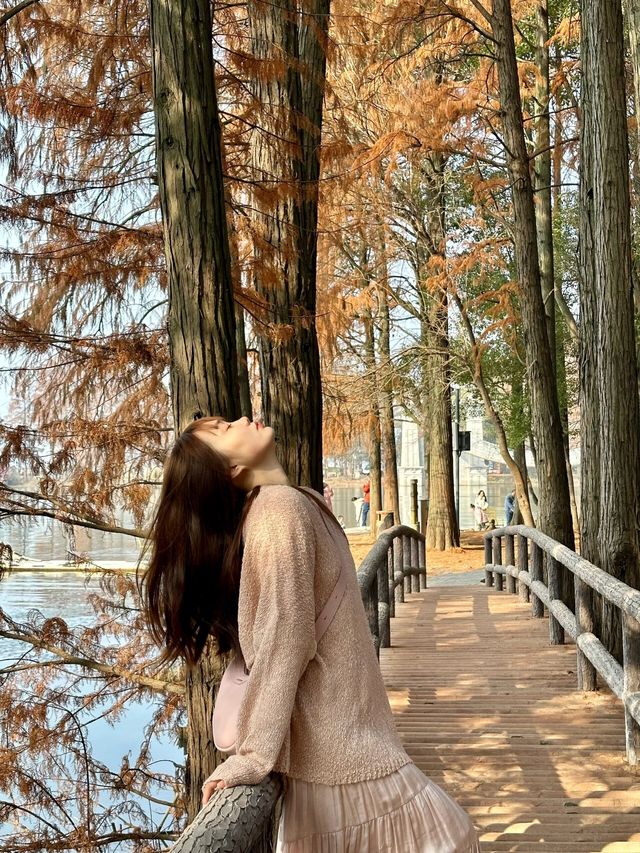 湖北東湖三天旅遊攻略及美食推薦