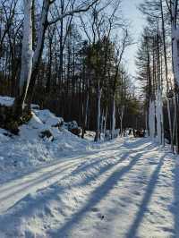 洛陽白雲山·森林冰雪奇遇季快樂加載100%