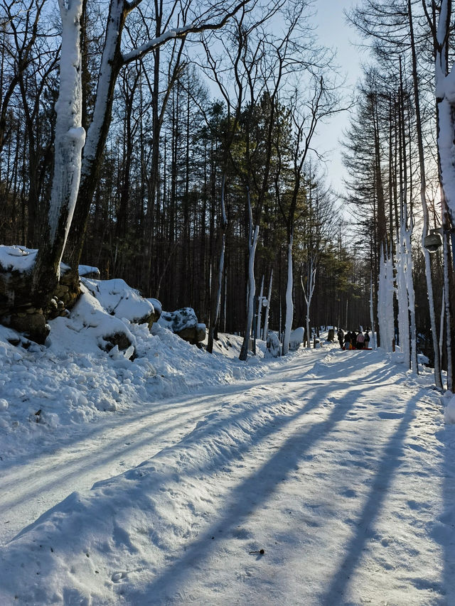 洛陽白雲山·森林冰雪奇遇季快樂加載100%