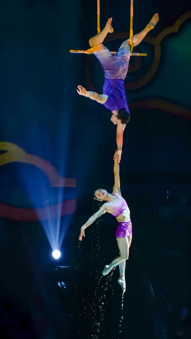 Shanghai Circus City | Sweating, screaming, clapping hands