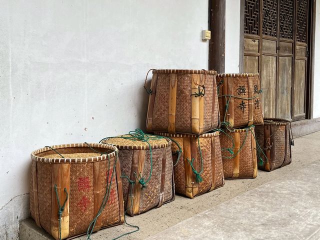 在稻子黃柿子紅的時節去國清寺啦