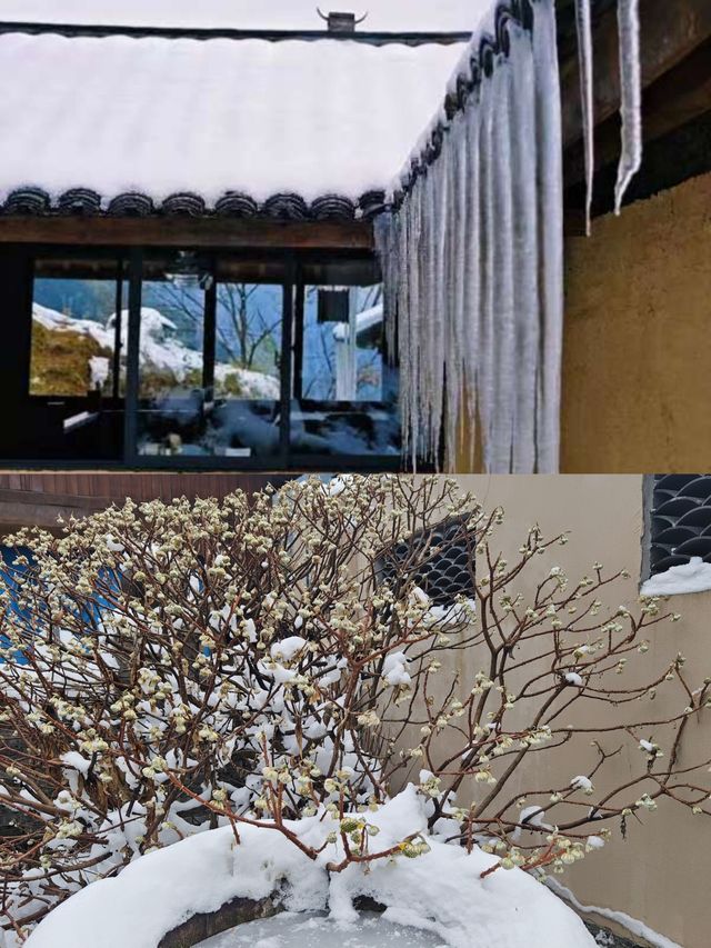 柴門聞犬吠，風雪夜歸人-衢州雪景民宿雨印茶坪