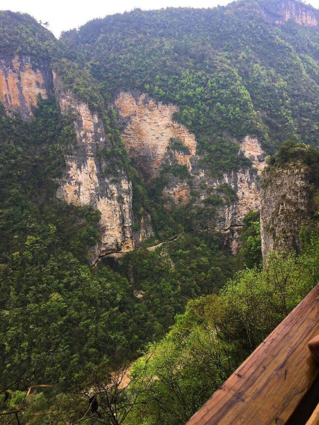 漫步透明玻璃橋，乘坐高空滑索，張家界大峽谷玩的就是心跳