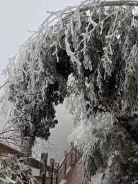 又到雪季!快來桂林這一處看絕美雪景