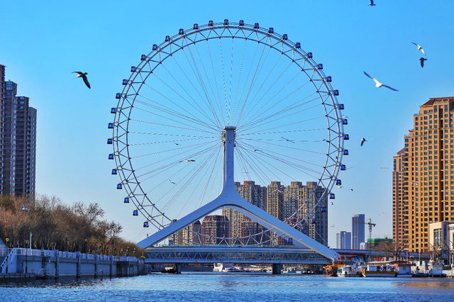 天津不養一座“閒橋”！