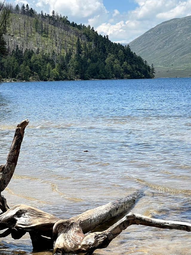 神秘天然湖泊木格措感受自然呼吸的張弛