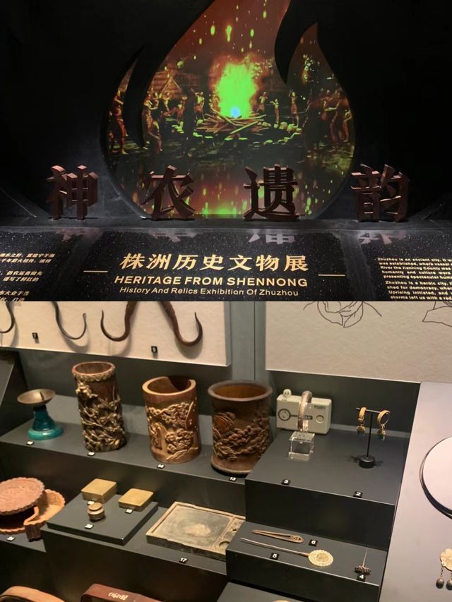 冷門驚艷的恐龍博物館