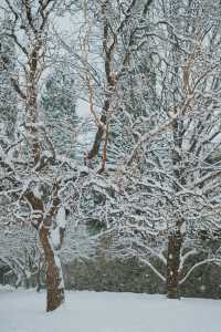 秦始皇陵大雪記