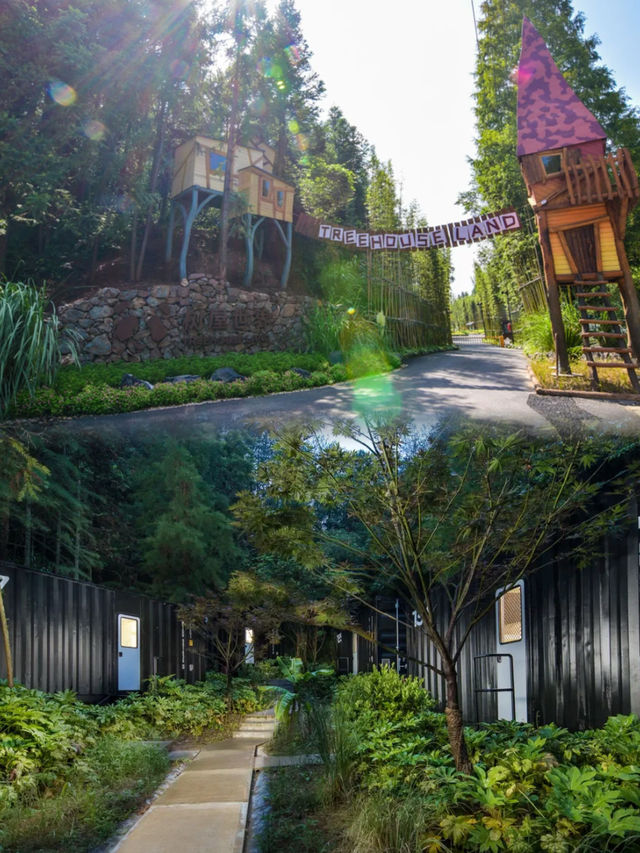 剛退房！齊雲山坐擁500畝森林的童話樹屋