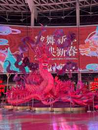 滿滿年味來襲｜粉紅巨龍驚現頤堤港