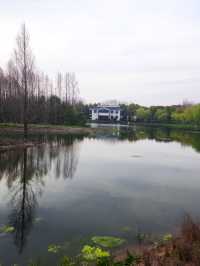 金海濕地公園,上海的“地球之腎”