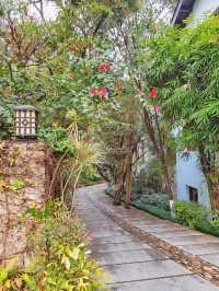 泉州旅遊|在森林間的中式庭院過寧靜慢生活