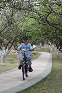 遛娃來了不止10次的公園非常適合騎行