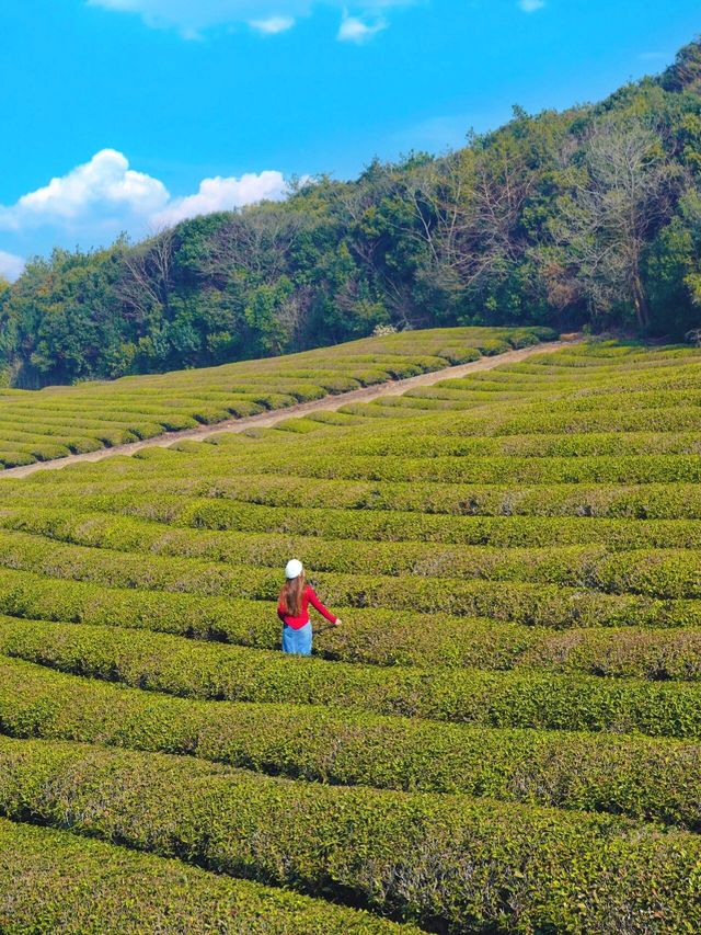 春節慢樂不擠人海打卡“餘生”同款取景地