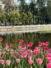 雲南昆明翠湖公園