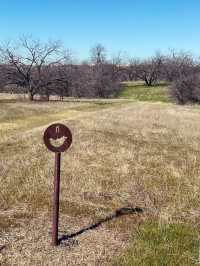 達拉斯丨獨自旅行•Arbor Hills Trail