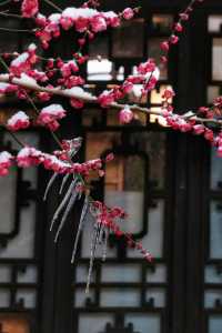 揚州度假一日遊攻略，居然雪後景色這麼美