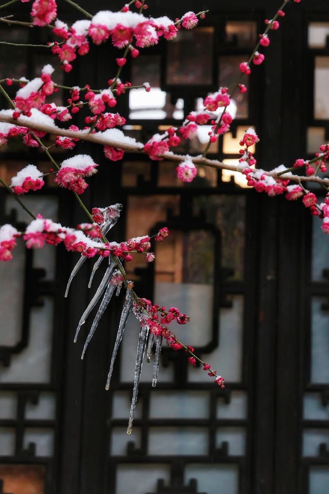 揚州度假一日遊攻略，居然雪後景色這麼美