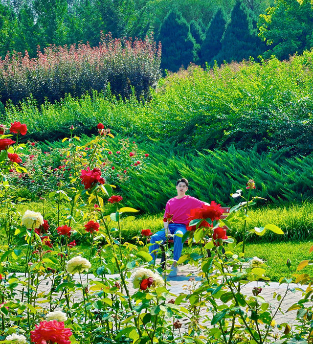 跌入油畫莫奈花園天空之境|北京·寶藏公園