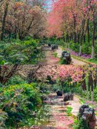豐澤源植物園，滿足了春天的所有幻想