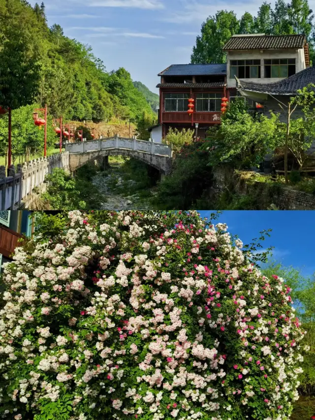 서안 주변 고진 유람