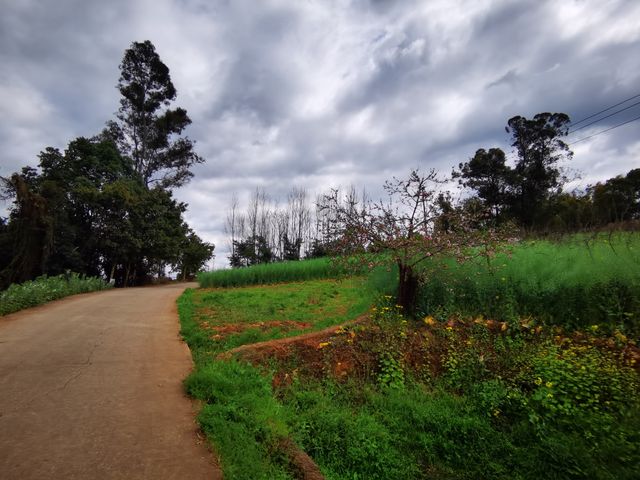 漫步雨後天晴的貢井三台村