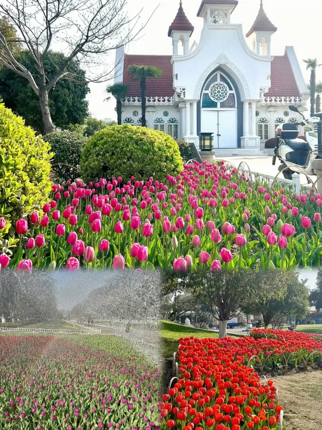 南京の花見シーズン