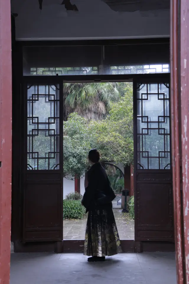 鎮江焦山真的是貓貓山，下雨天也能偶遇五六只貓