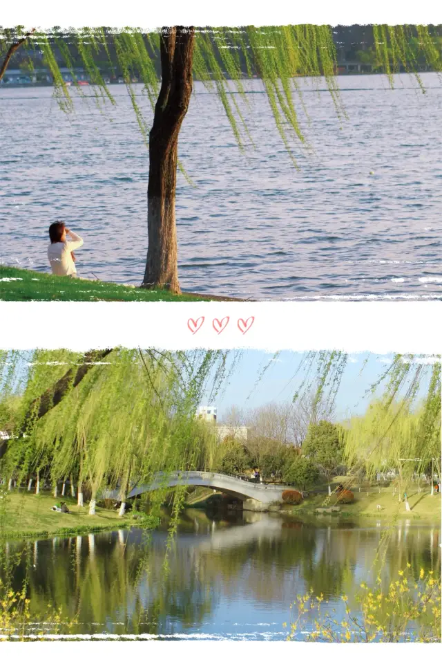 南京的春天逛玄武湖公園才是正經事