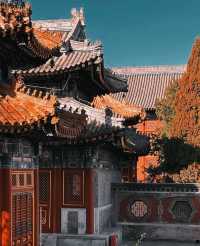 北京藝術博物館|觀古建賞玉蘭，太美了