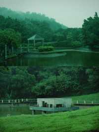 深圳公園拍照|愛上雨天的綠色！孩子花海！