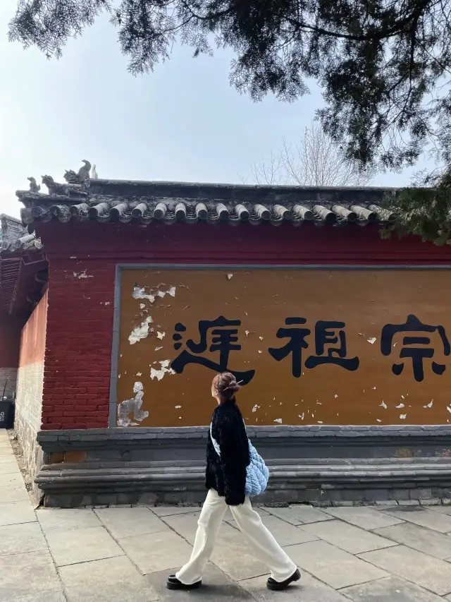 給河南文旅上分啦！這裡是嵩山少林寺