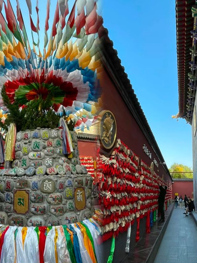 西安廣仁寺|本地人才知道的藏傳寺廟