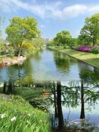寧波植物園丨在油畫般的莫奈花園吹風曬太陽