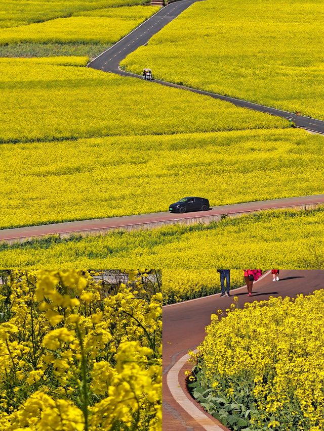 《國家地理》誠不欺我，這裡堪稱全世界最美的春天