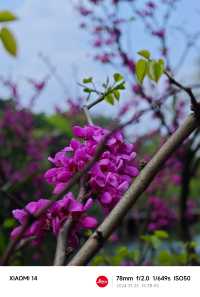 桂林南溪山公園之旅