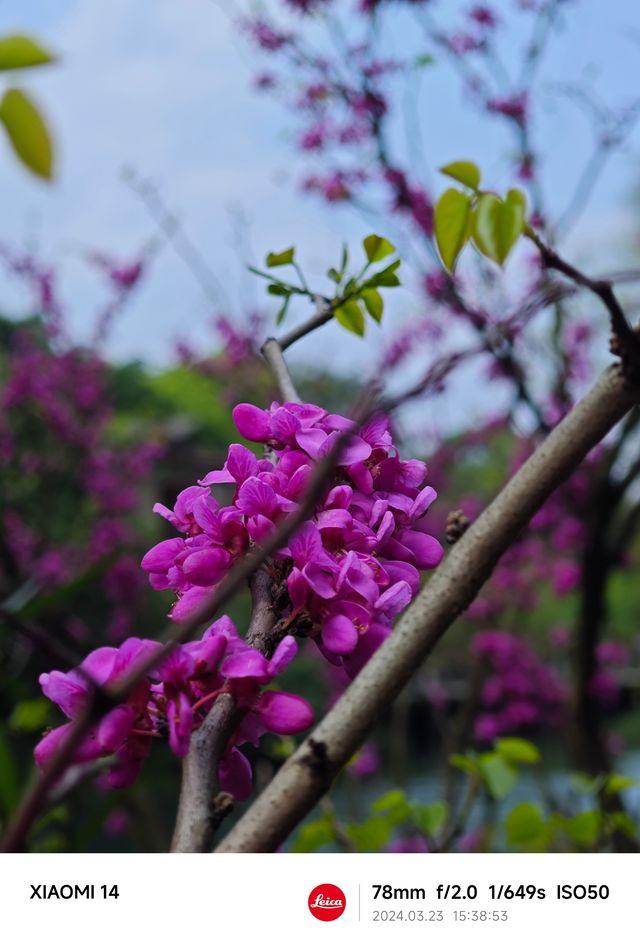 桂林南溪山公園之旅